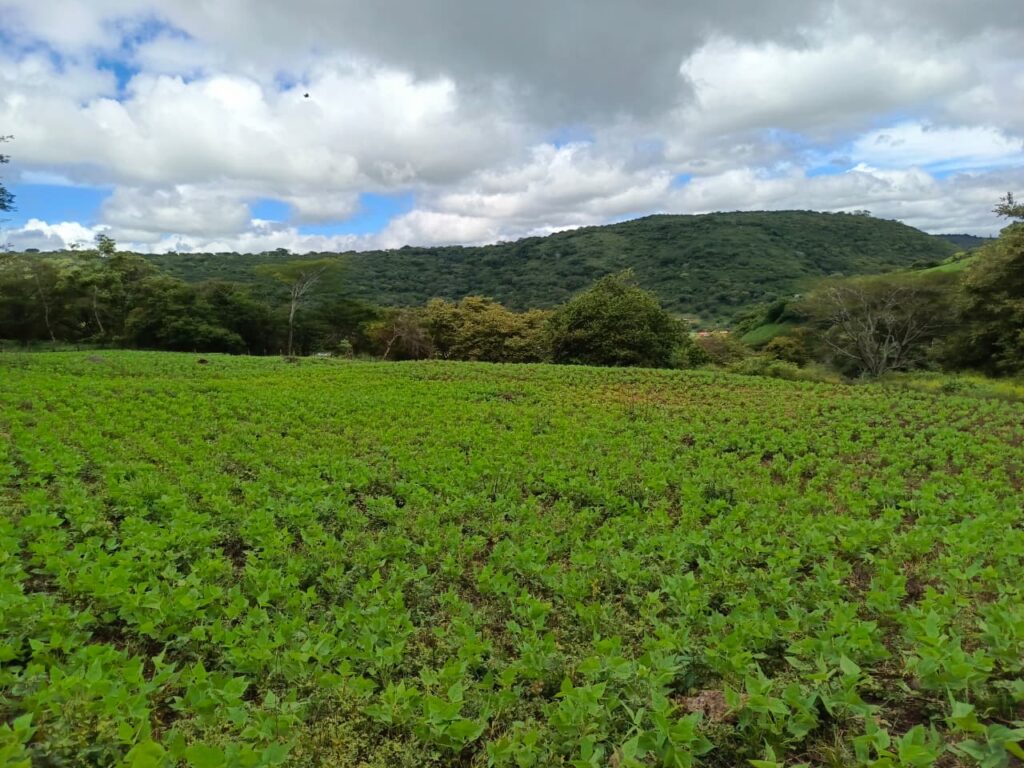 WhatsApp Image 2026-01-13 at 13.55.06 (1)